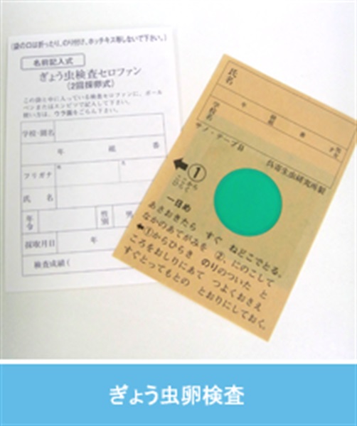 ぎょう虫卵検査